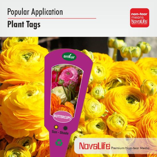 MPP 3508
